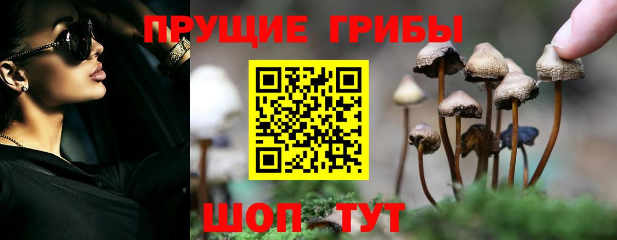 Псилоцибиновые грибы мухоморы  Псилоцибиновые грибы ЛСД  Вход с VPN  Хабаровск 