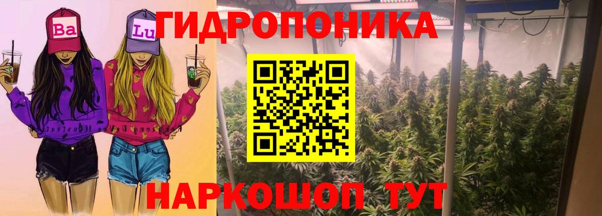 Бошки Шишки семена  Шишки марихуана планчик  Каннабис семена  Бошки Шишки сатива  Хабаровск  Вход с VPN 
